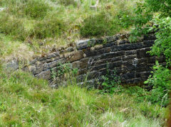 
Cwmbyrgwm Colliery West shaft,  June 2013